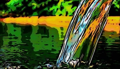 blog image